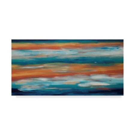Trademark Fine Art Hilary Winfield 'Night Sky' Canvas Art, 24x47 ALI22844-C2447GG